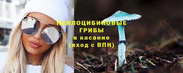 ГАЛЛЮЦИНОГЕННЫЕ ГРИБЫ Бугульма