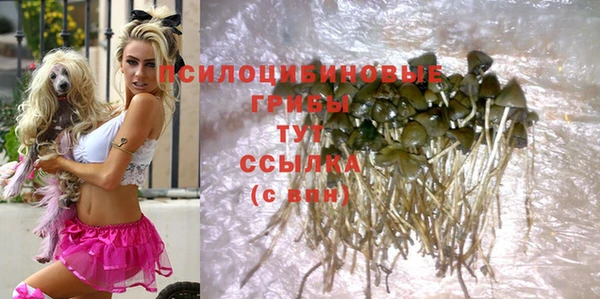 ГАЛЛЮЦИНОГЕННЫЕ ГРИБЫ Бугульма