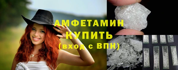 крисы Бородино