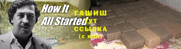 крисы Бородино