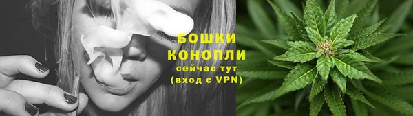 ГАЛЛЮЦИНОГЕННЫЕ ГРИБЫ Бугульма