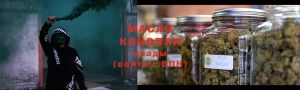 крисы Бородино