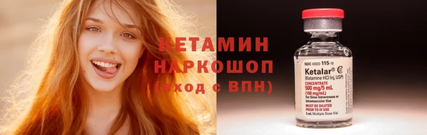 крисы Бородино