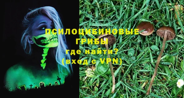 ГАЛЛЮЦИНОГЕННЫЕ ГРИБЫ Бугульма