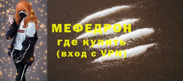 крисы Бородино