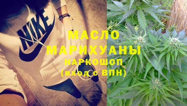 крисы Бородино