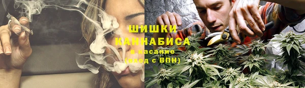 крисы Бородино