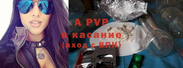 крисы Бородино